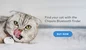 Chipolo cat finder bluetooth