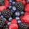 Berries Public Domain Pictures